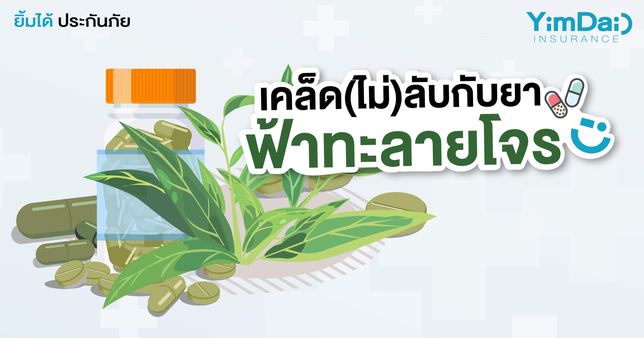 เคล็ด (ไม่) ลับกับยาฟ้าทะลายโจร