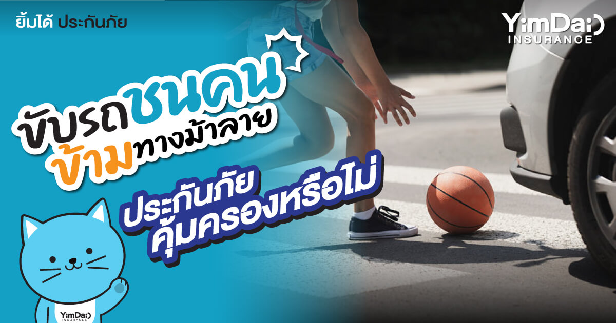 ชนคนข้ามทางม้าลาย ประกันภัยคุ้มครองหรือไม่