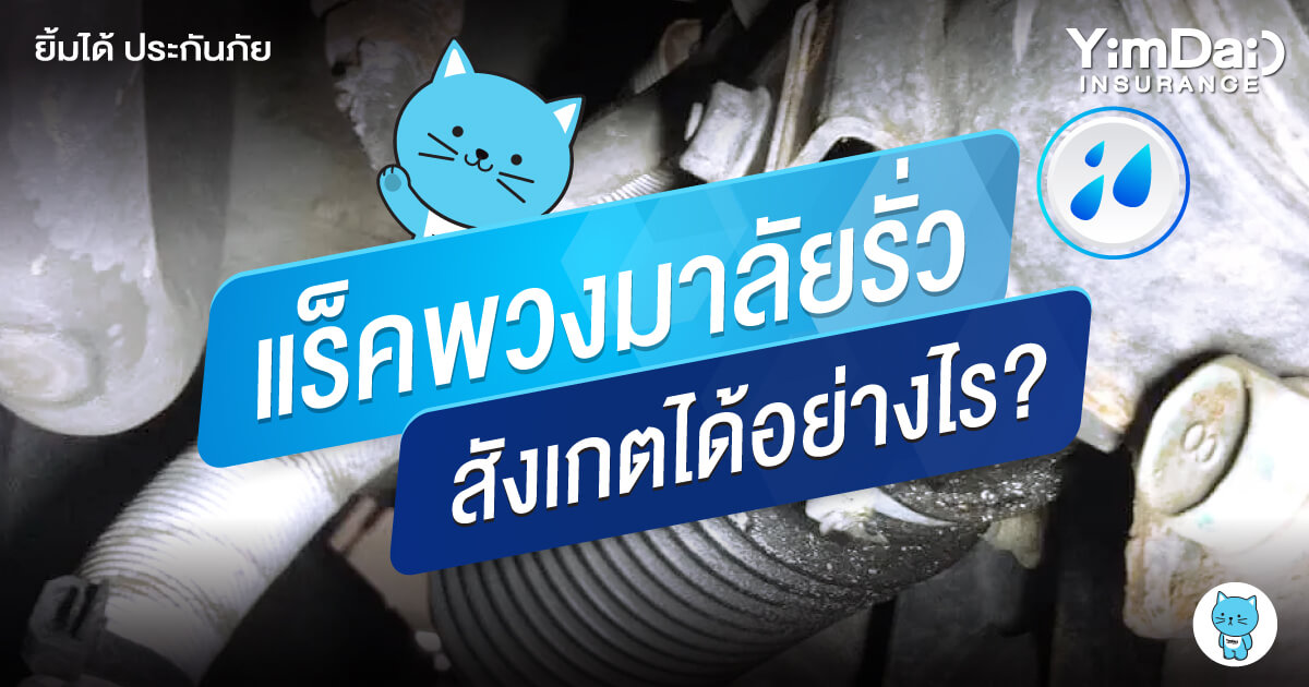 แร็คพวงมาลัยรั่ว ต้องสังเกตอย่างไร และต้องเปลี่ยนทันทีหรือไม่?
