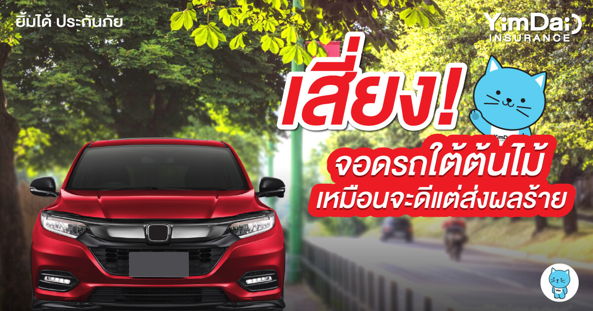 จอดรถใต้ต้นไม้ ส่งผลเสียต่อรถมากกว่าที่คิด!